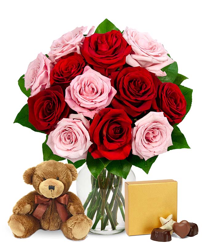 One Dozen Red & Pink Roses with Godiva Chocolates and Teddy Bear