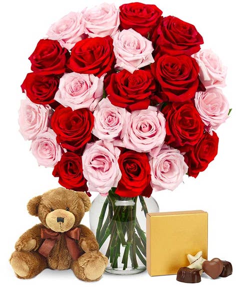 Two Dozen Red & Pink Roses with Chocolates & Teddy Bear