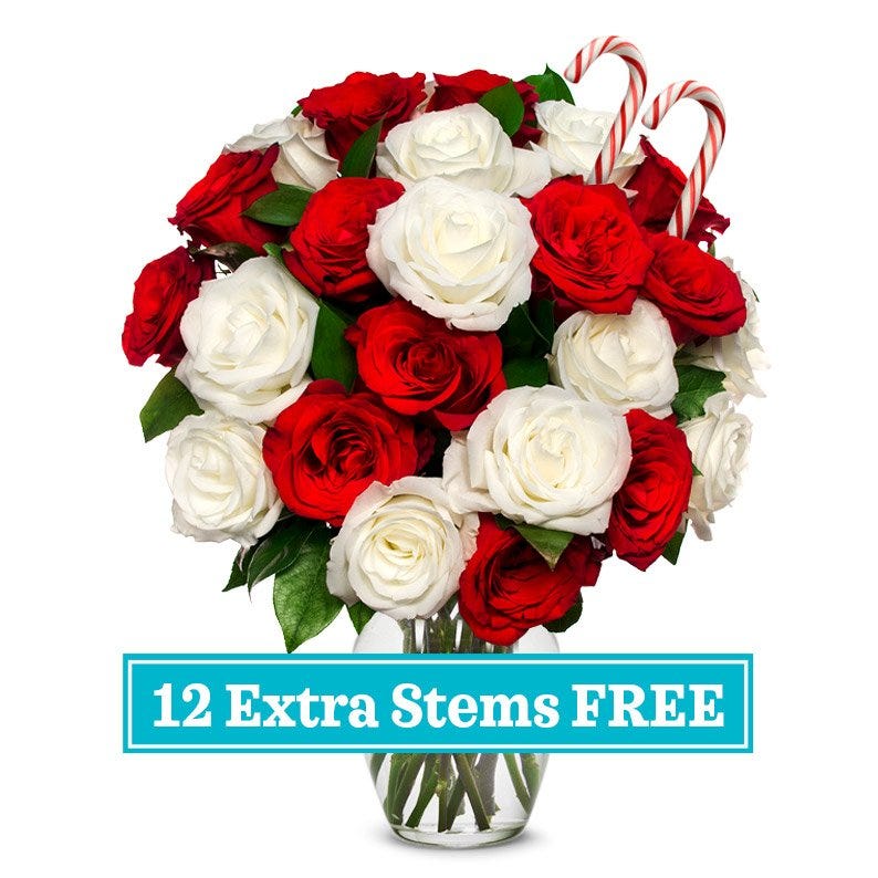 Candy Cane Roses - Two Dozen 