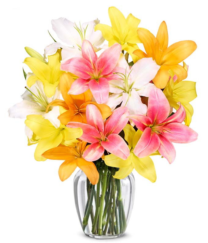 Lilies delivered in a box, arrangement boxed lilies delivery with a card