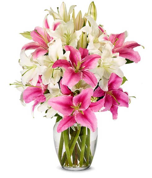 Luxurious Lily Bouquet