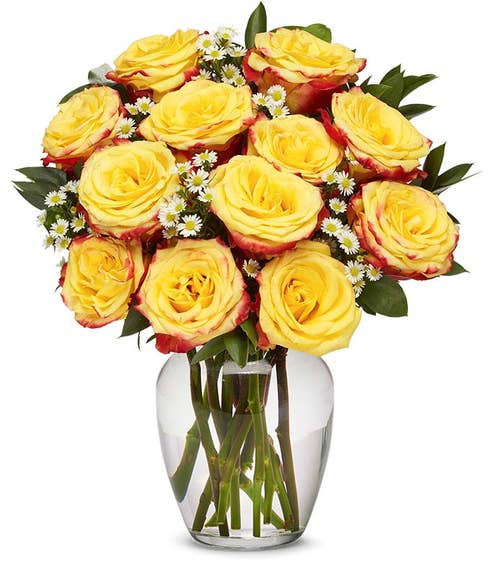 Boxed Fire roses, one dozen yellow and red roses in a box
