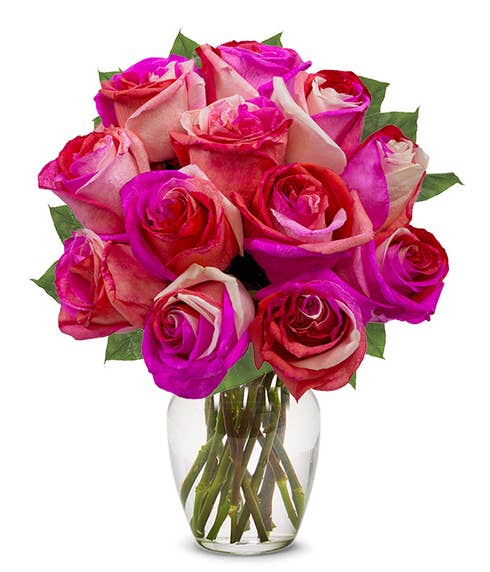 One Dozen Prismatic Pink Roses