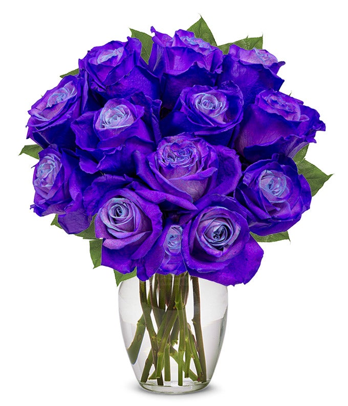 One Dozen Deep Purple Roses at Send Flowers