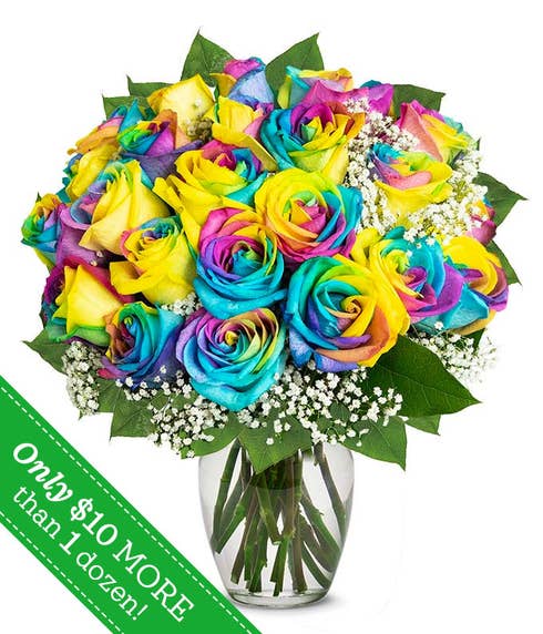 Two Dozen Wild Rainbow Roses