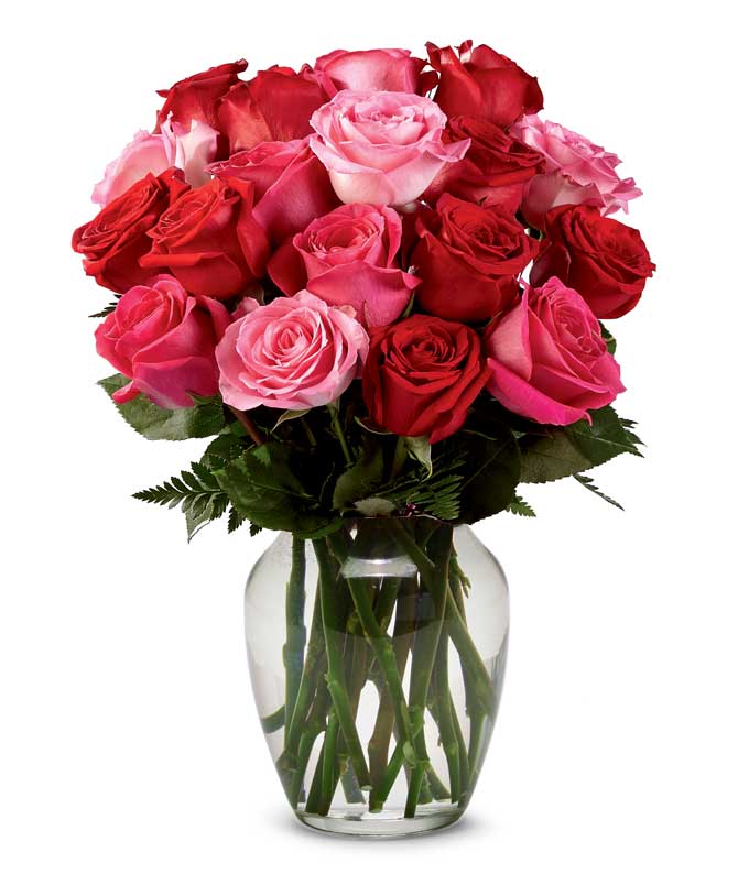 A bouquet of Red Roses, Pink Roses, Hot-Pink Roses and Lush Greens on a Clear Glass Vase