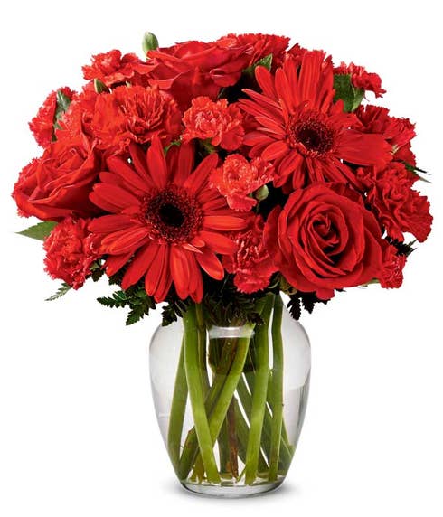 Red gerbera daisy, red rose and red miniature carnation flowers bouquet