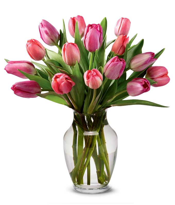 A Bouquet of Assorted Pink Tulips in a Ceramic Vase with Metallic Finish