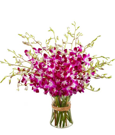 Pink orchid bouquet 
