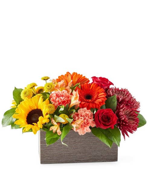 Yellow Sunflowers, Orange Gerbera Daisies, Red Roses, Orange Carnations, Floral Greens in a wooden box against a white background