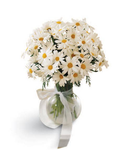 White daisies in a traditional white daisy bouquet with clear glass vase