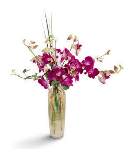 Long stem purple orchid bouquet with purple orchids in a fitted glass vase