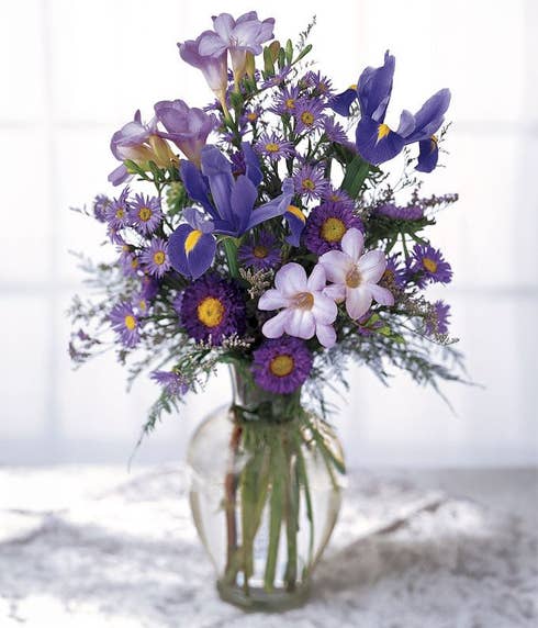 Blue Iris with purple asters in a glass vase