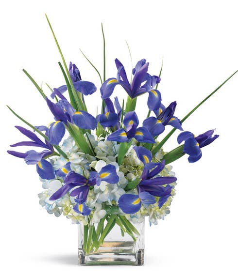 Modern blue iris and blue hydrangea flower bouquet in a square glass vase
