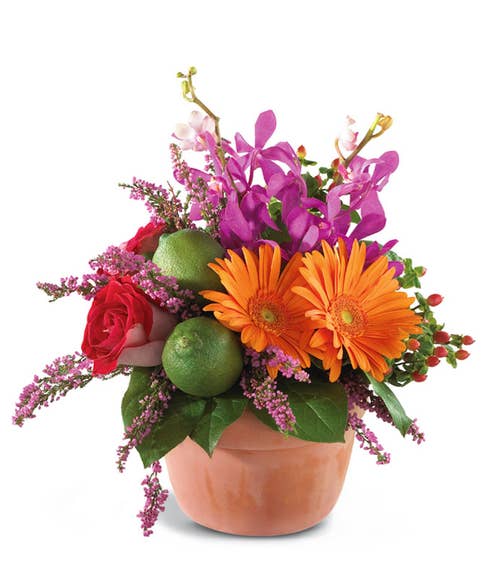 luxury orange gerbera daisy bouquet with clay pot, pink heather and limes