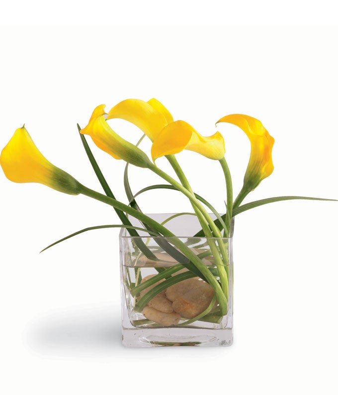 Yellow Calla Lilies and Lily Grass in a Clear Glass Cube with Card Message and River Stones