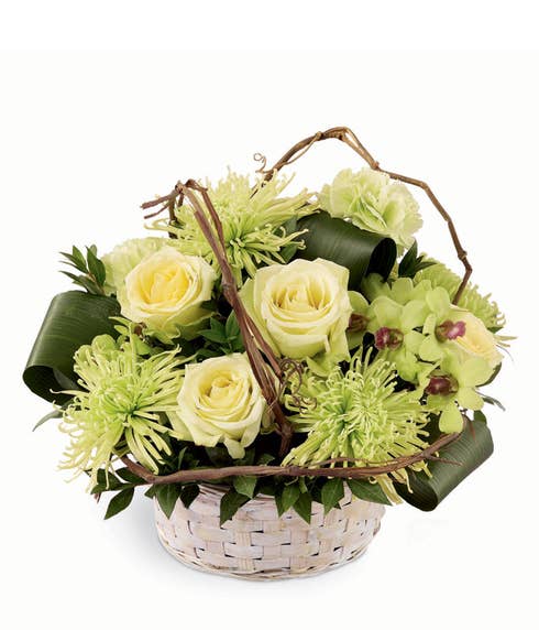 Pale green roses, green carnations, green dendrobium orchids and chrysanthemums