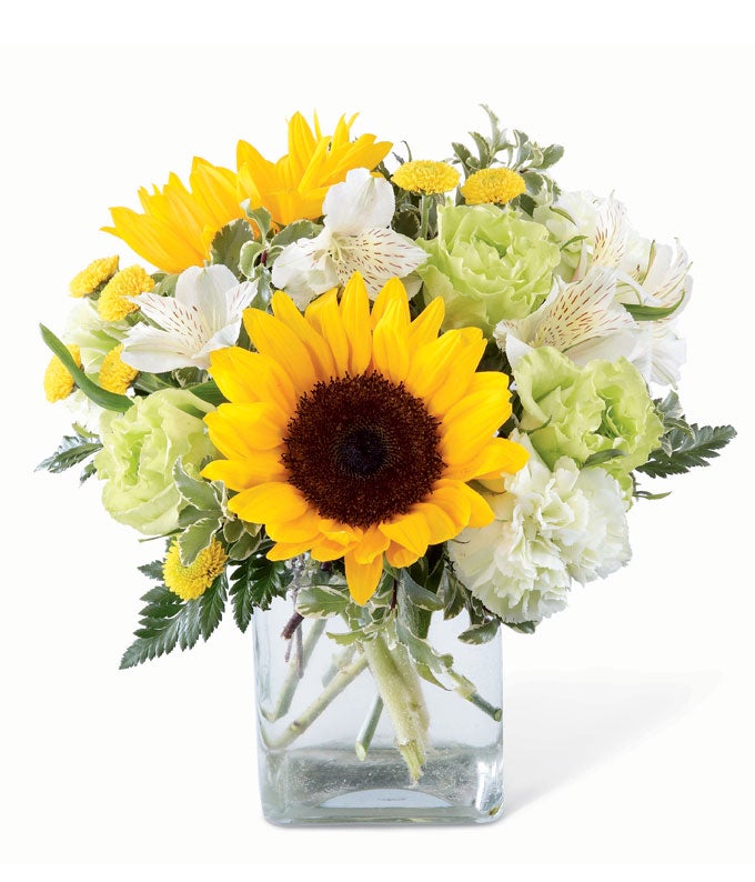 A bouquet of Sunflowers, Yellow Button Poms, Jade Roses, Pistachio Carnations, White Alstroemeria and Lush Greens in a Glass Vase