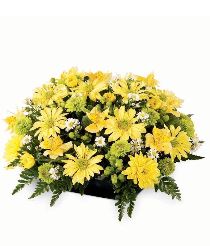 Yellow gerbera daisy and yellow alstromeria flowers in a square porcelain vase 