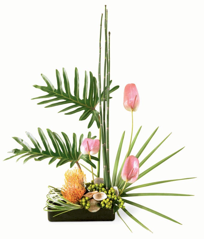 Dreaming in Paradise