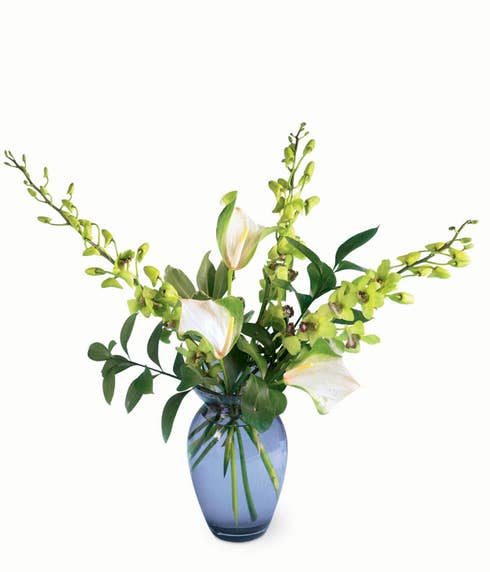 Mixed green orchid bouquet with green dendrobium orchids and green anthurium