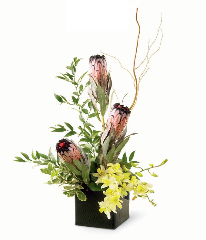Flowers for men delivery and modern protea flower bouquet delivery