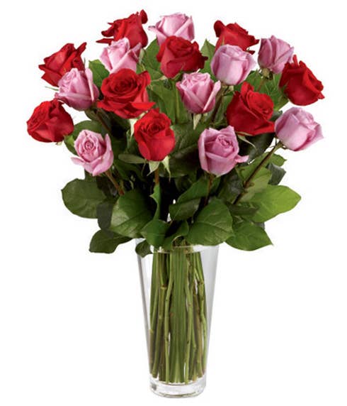 long stem red and purple roses bouquet with tall clear glass vase and salal