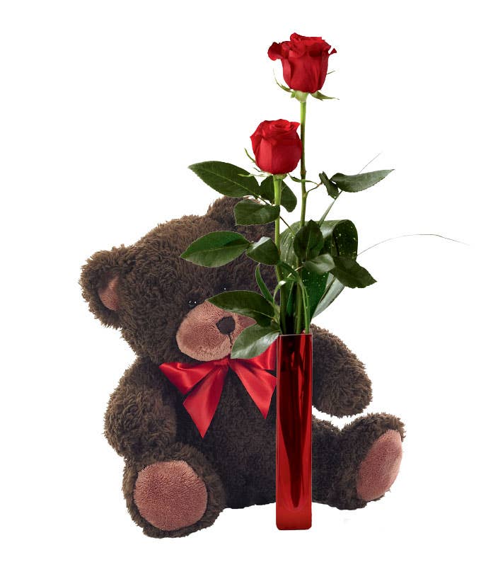 Red Roses and Aspidistra Leaf in a Thin Red Vase with Teddy Bear