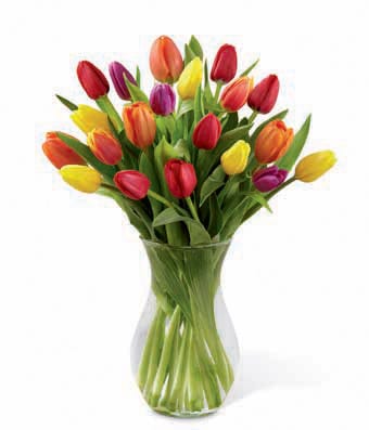 Red, orange, yellow and purple tulips in a classic clear glass vase