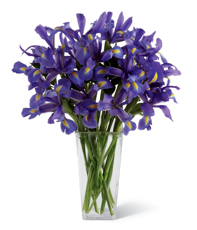 A bouquet of Blue Iris and Lush Greens in a Clear Glass Square Tower Vase
