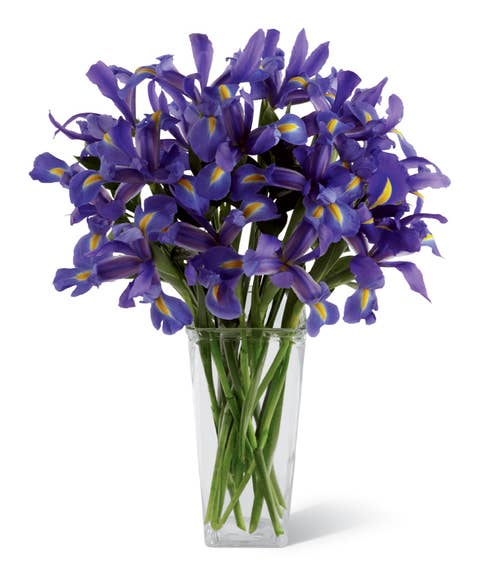 Blue iris bouquet in a clear glass square tower vase