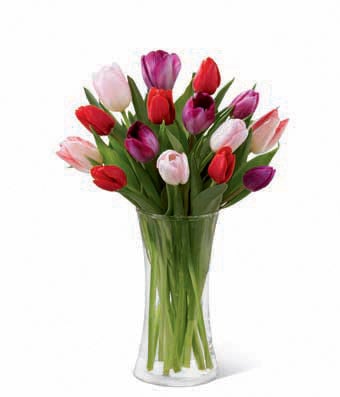 A Bouquet of Red Tulips, Purple Tulips, and Pale Pink Tulips in a Cylinder Glass Vase with Message Card