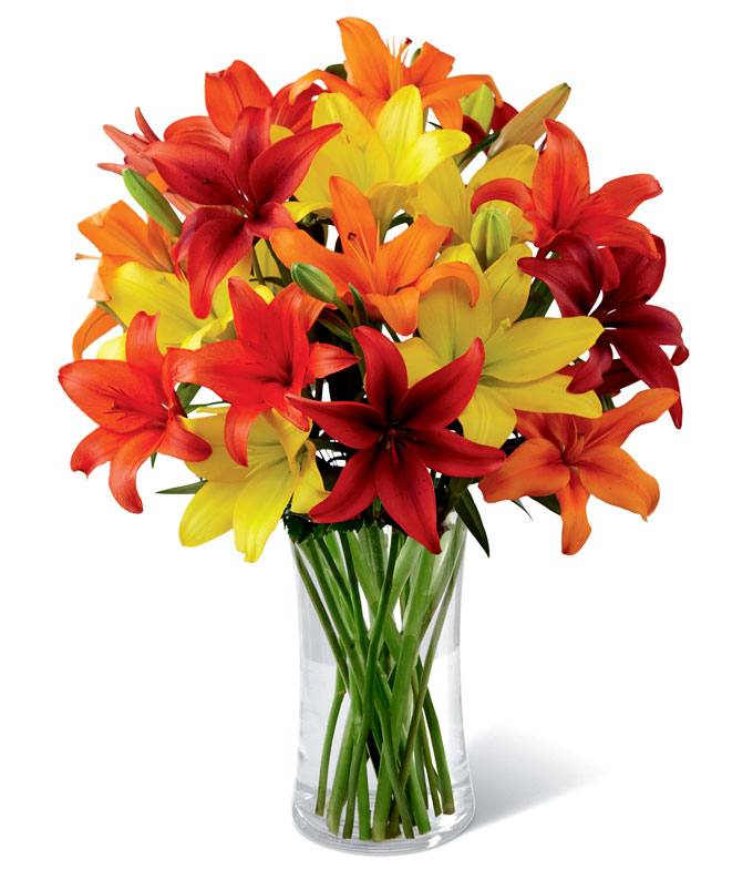 A Bouquet of Yellow Asiatic Lilies, Orange Asiatic Lilies, and Red Asiatic Lilies in a Cylinder Vase