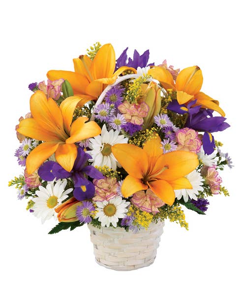 Orange lilies, purple iris, white daisies and pink carnations for delivery in a basket