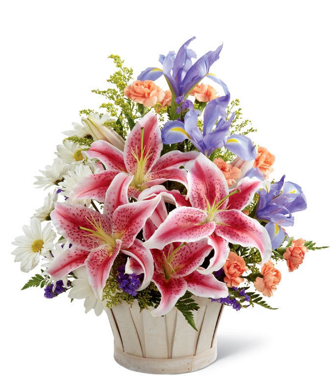 send flowers cheap with Stargazer lilies and irises in a basket
