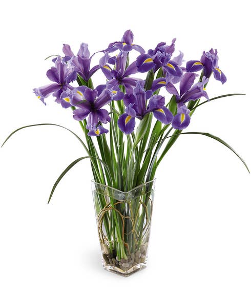Stately Iris Bouquet