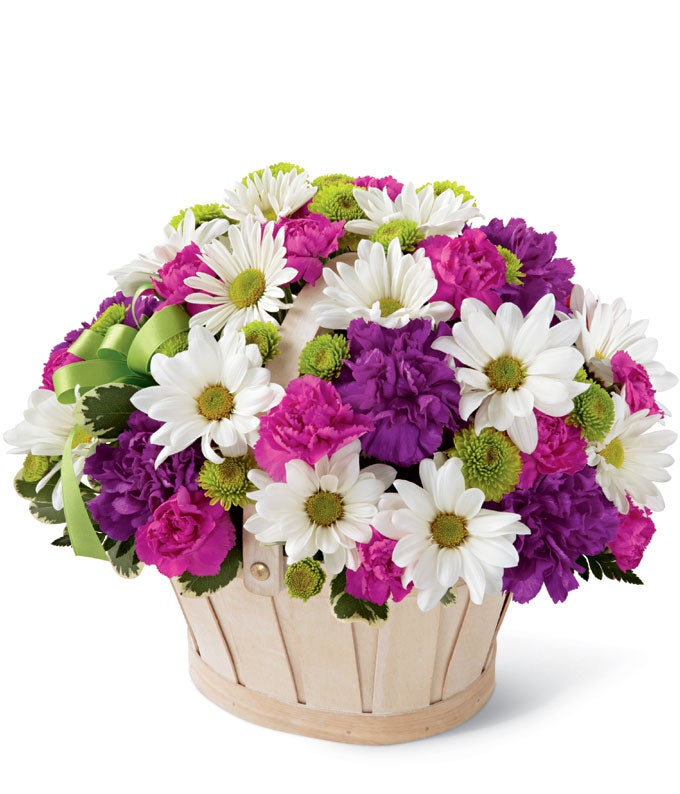 A Bouquet of Green Daisy Pompons, White Daisy Pompons, Hot Pink Mini Carnations, and Purple Carnations in a Handled Basket