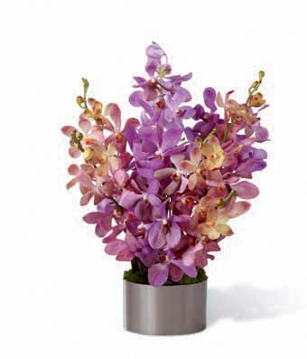 Pink and purple Mokara Orchids arranged in a graphite round container