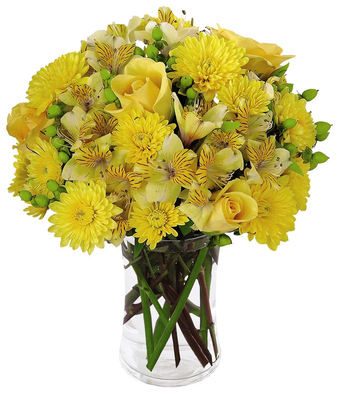 A Bouquet of Yellow Roses, Lemon Hued Daisies, Gold Peruvian Lilies, and Green Hypericum in a Glass Vase