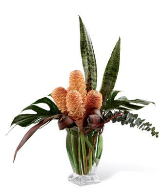 Shampoo ginger accented with a variety of lush tropical leaves and curly willow tips in a clear glass vase