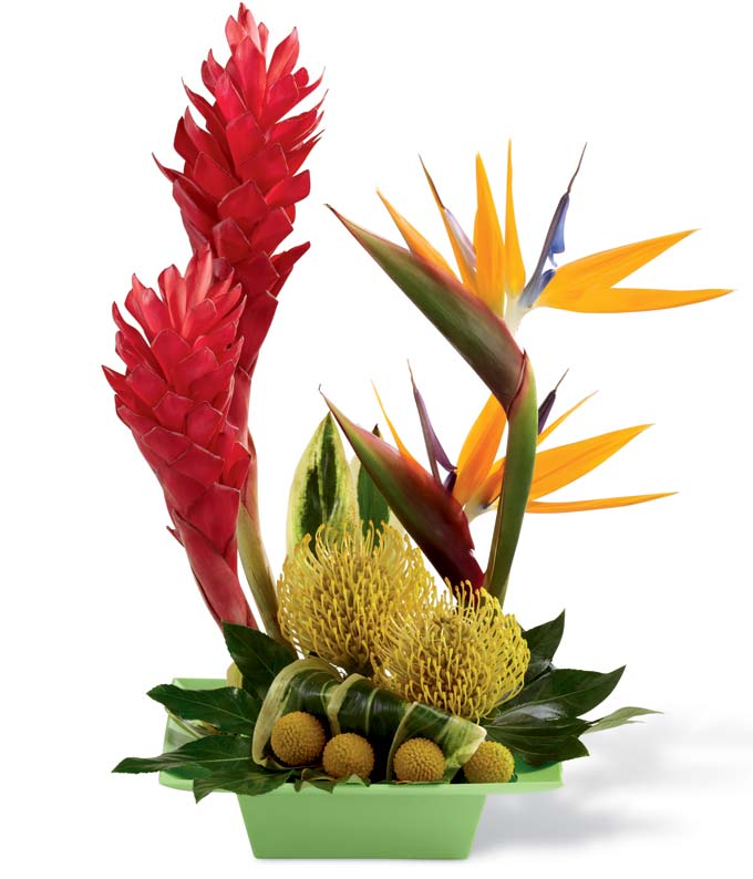 Red ginger, Birds of Paradise, yellow pincushion protea, tropical flower bouquet