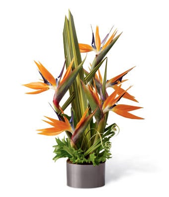 Tropical bouquet of orange and purple Birds of Paradise and an assortment of tropical leaves in a graphite round container