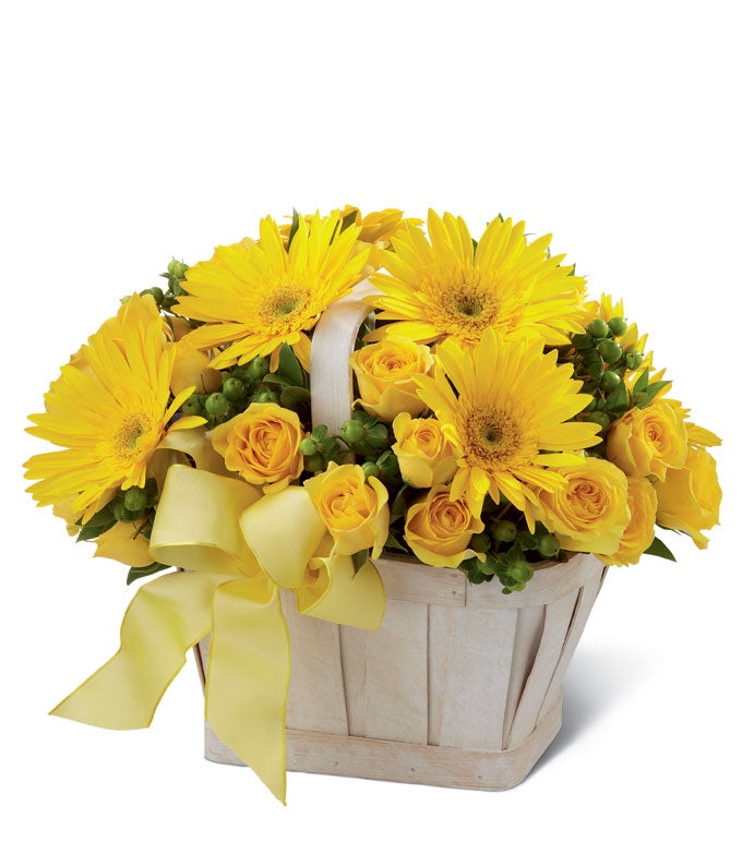 A Bouquet of Yellow Gerbera Daisies, Yellow Spray Roses, and  Green Hypericum in a Woven White Basket