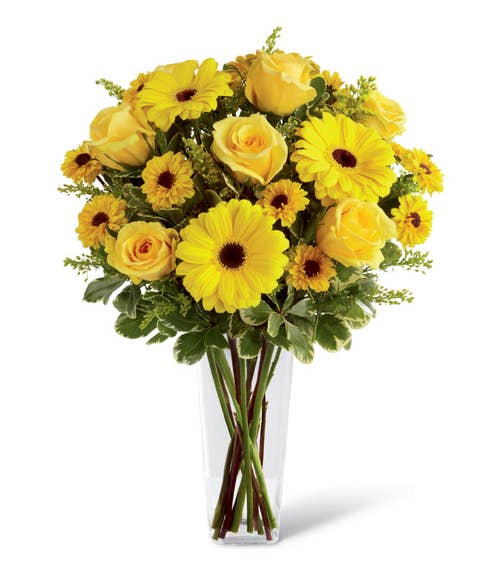 Yellow roses, gerbera daisies, Viking chrysanthemums, solidago, and greens in a clear glass square tapered vase