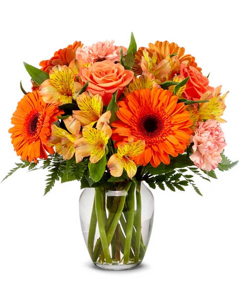 Orange gerbera daisy bouquet delivery