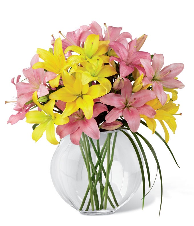 A Bouquet of Yellow Asiatic Lilies, Pink Asiatic Lilies, and Lily Grass in a Clear Glass Pillow Vase
