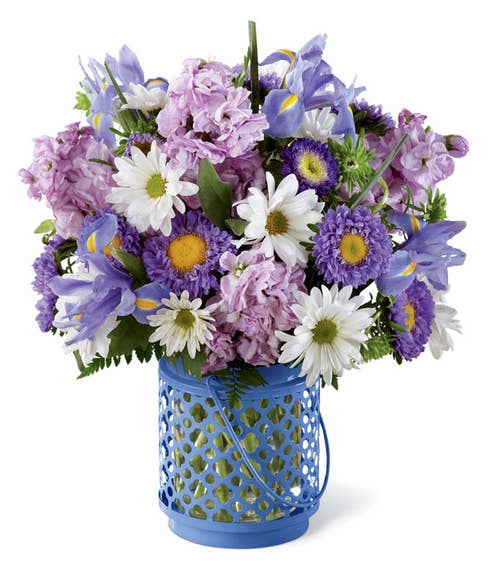Iris flowers and white daisies in a blue lantern vase