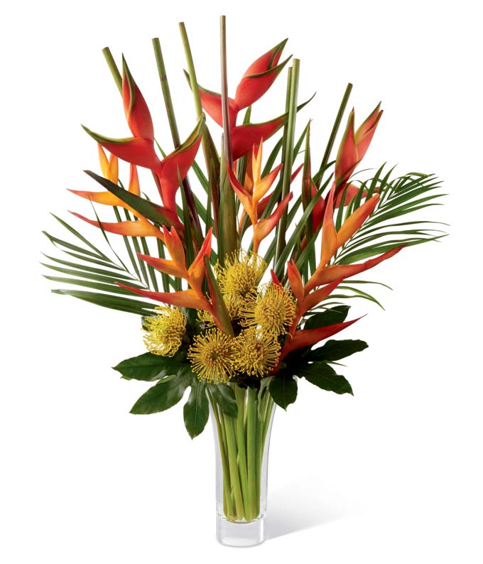 Pincushion protea, psitticorum heliconia, upright heliconia, aralia leaves, and areca palm in a superior flared clear glass vase