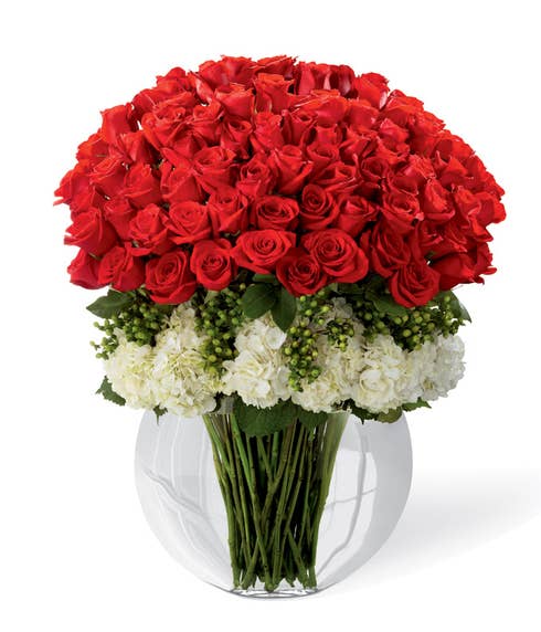 Over 6 dozen stems of premium long-stemmed red roses arranged with white hydrangea and green hypericum berries in a superior clear glass pillow vase
