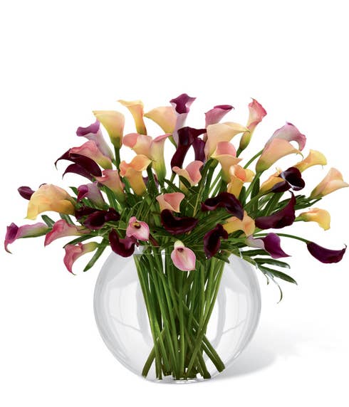 Plum calla lilies, light pink calla lilies, and dark pink calla lilies in a superior clear glass pillow case